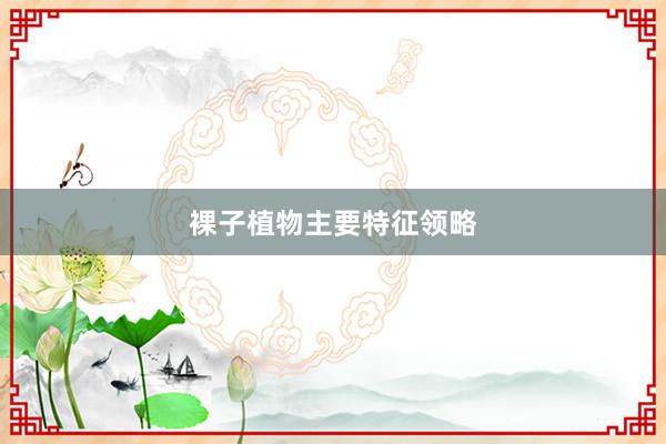 裸子植物主要特征领略