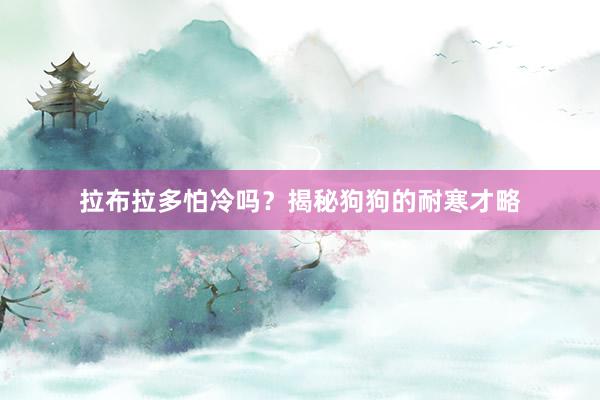 拉布拉多怕冷吗？揭秘狗狗的耐寒才略