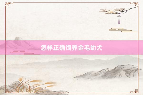 怎样正确饲养金毛幼犬